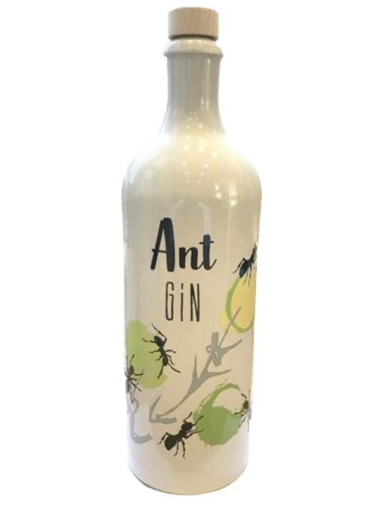 Ant Gin